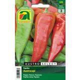 AUSTROSAAT Bio Paprika Austrocapi - Austroselect