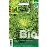 AUSTROSAAT Bio Endivie Bubikopf2/Perlita