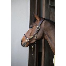 Kentucky Horsewear Anatomisches Wildleder Halfter baun