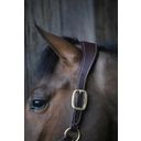 Kentucky Horsewear Anatomisches Wildleder Halfter baun