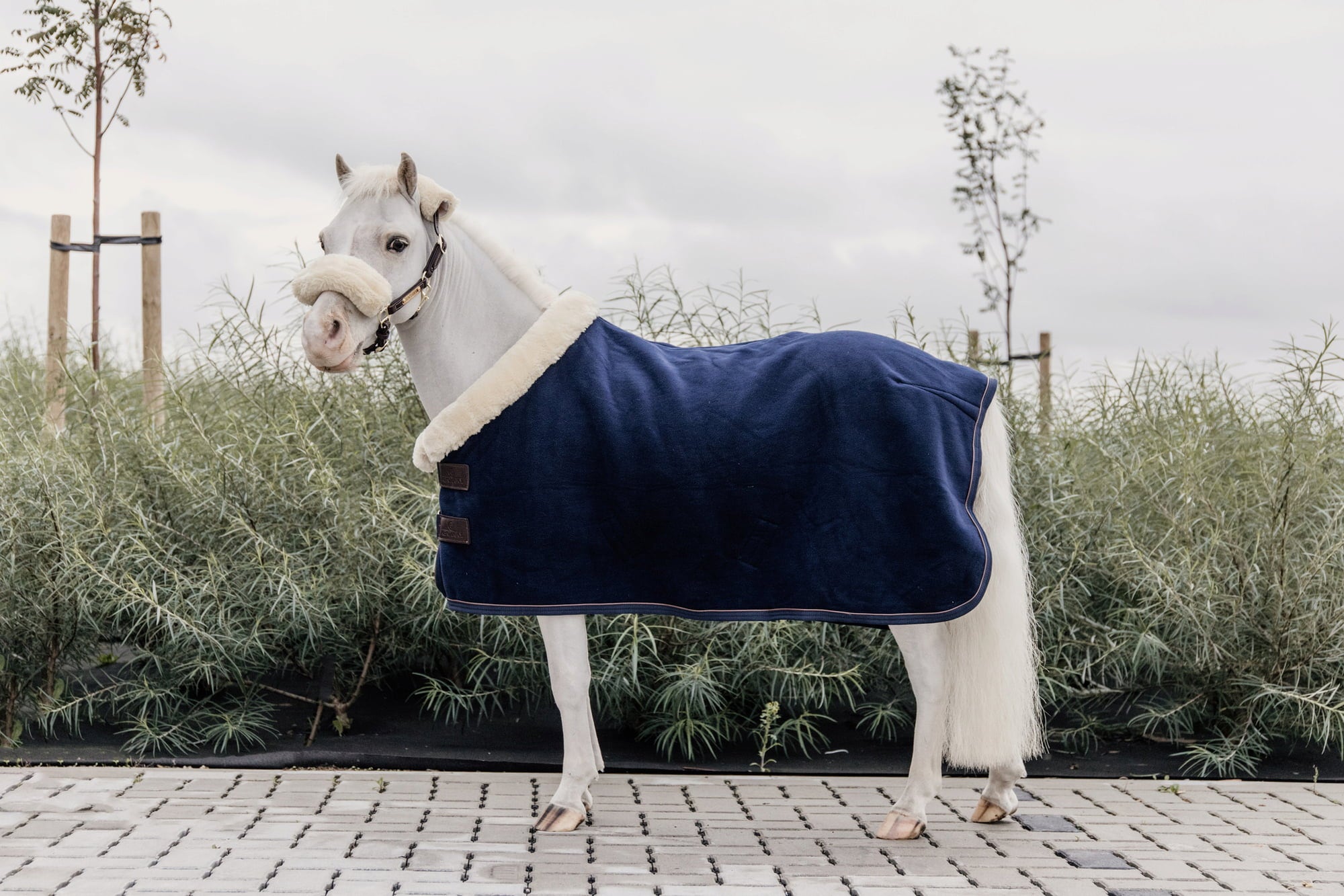 Kentucky Horsewear Pony Fleece Show Rug Heavy - 1 Stk