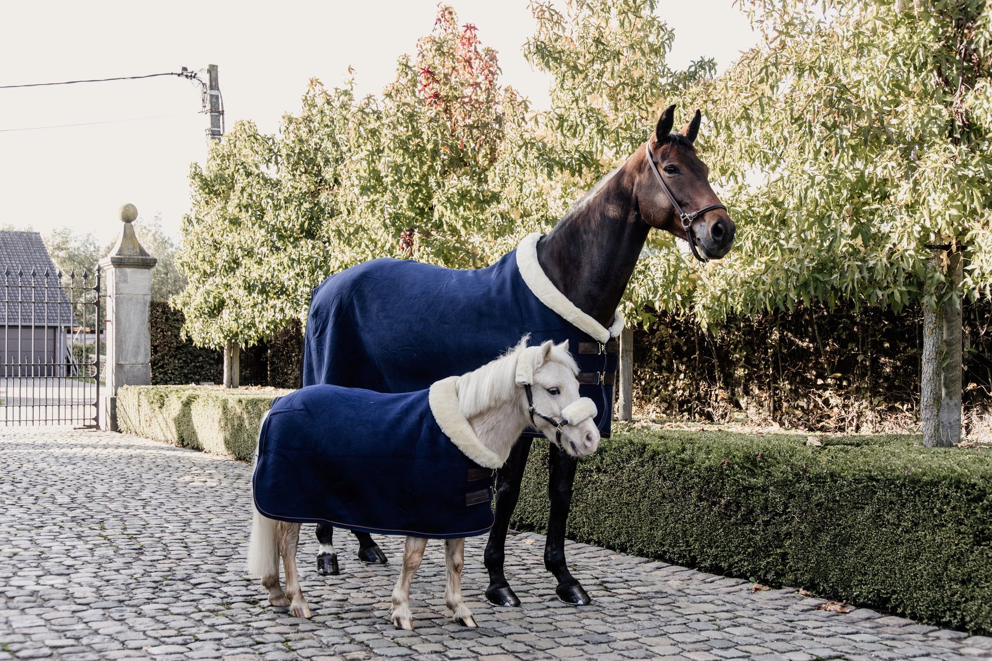 Kentucky Horsewear Pony Fleece Show Rug Heavy - 1 Stk