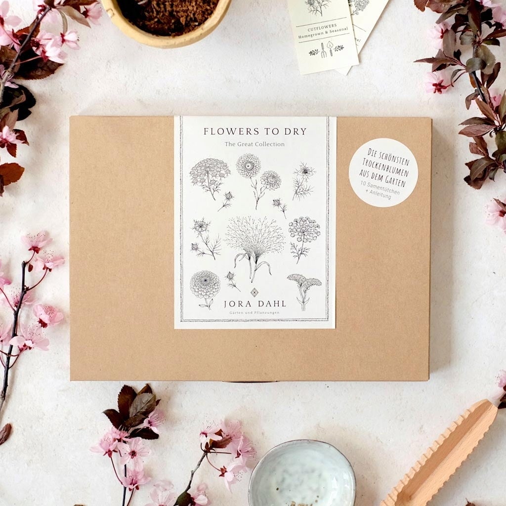 Trockenblumen Set 