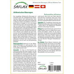 Saflax Afrikanischer Blauregen - 1 Pkg