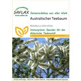 Saflax Australischer Teebaum