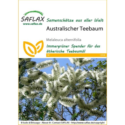 Saflax Australischer Teebaum - 1 Pkg