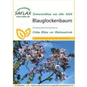 Saflax Blauglockenbaum - 1 Pkg