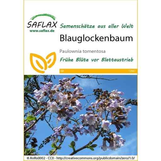Saflax Blauglockenbaum - 1 Pkg
