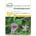 Saflax Schokoladenwein - 1 Pkg