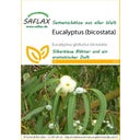 Saflax Eucalyptus (bicostata) - 1 Pkg