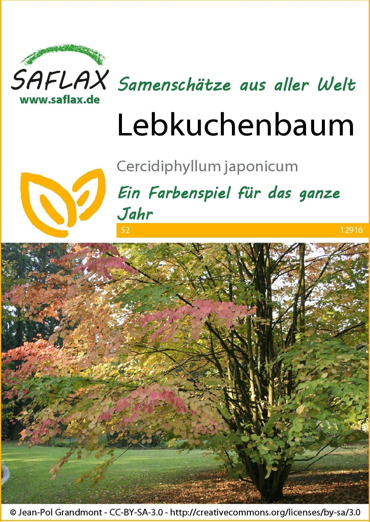 Lebkuchenbaum