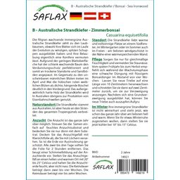 Saflax Bonsai - Australische Strandkiefer - 1 Pkg