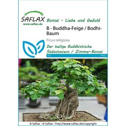 Saflax Bonsai - Buddha-Feige / Bodhi-Baum - 1 Pkg