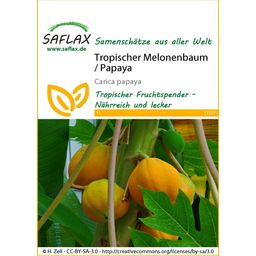 Saflax Tropischer Melonenbaum / Papaya - 1 Pkg