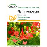 Saflax Flammenbaum