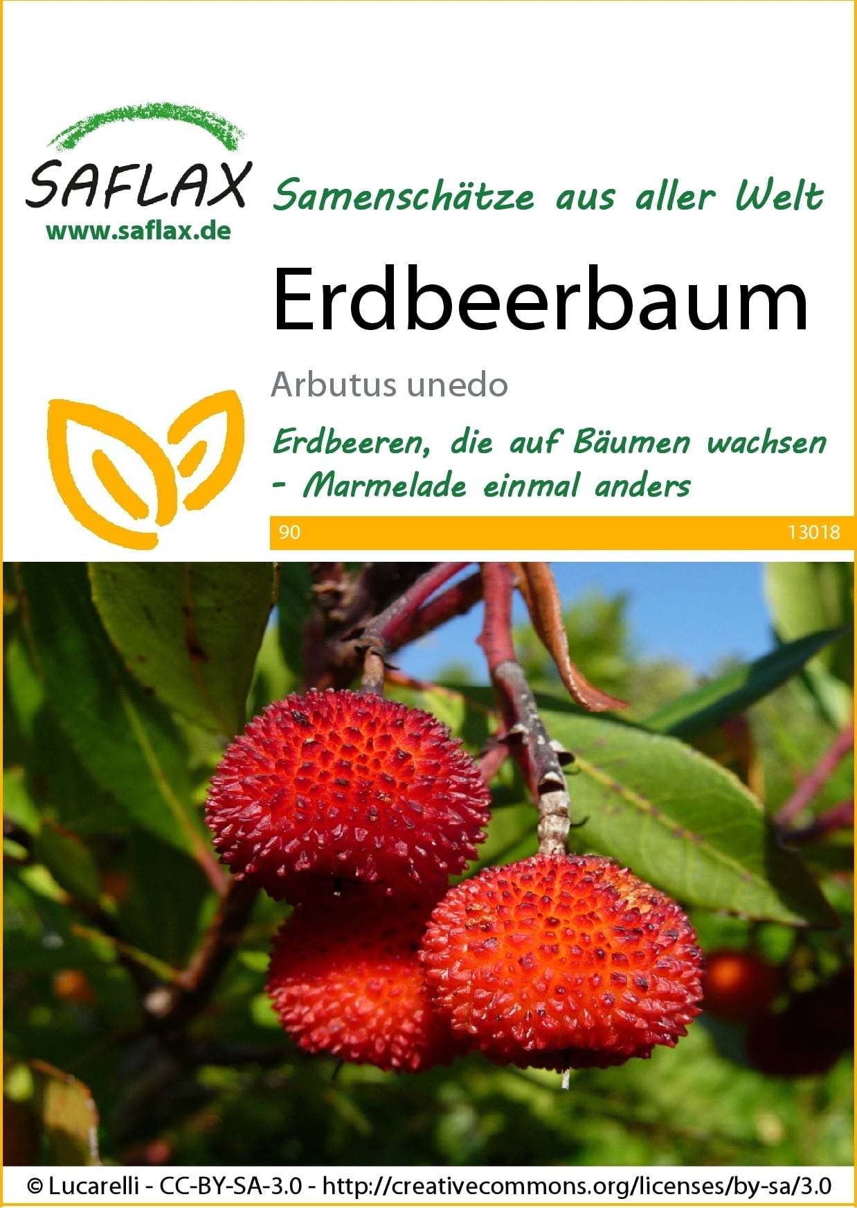 Erdbeerbaum