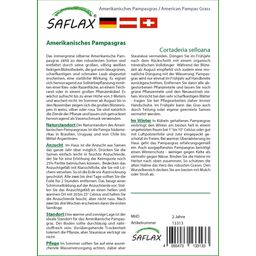 Saflax Amerikanisches Pampasgras - 1 Pkg