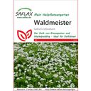 Saflax Waldmeister - 1 Pkg