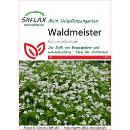 Saflax Waldmeister - 1 Pkg