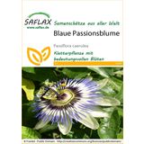 Saflax Blaue Passionsblume