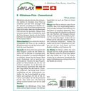 Saflax Bonsai - Mittelmeer-Pinie - 1 Pkg