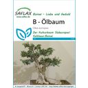 Saflax Bonsai - Ölbaum - 1 Pkg