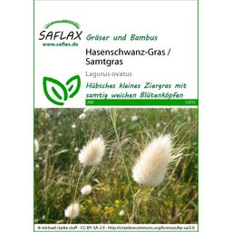 Saflax Hasenschwanz-Gras / Samtgras - 1 Pkg