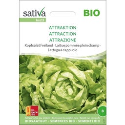 Sativa Bio Kopfsalat Freiland 