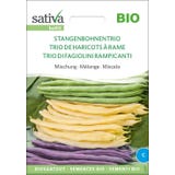 Sativa Bio Mischung "Stangenbohnentrio"