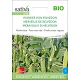 Sativa Bio Markerbse "Wunder von Kelvedon"