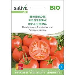 Sativa Bio Fleischtomate "Berner Rose"