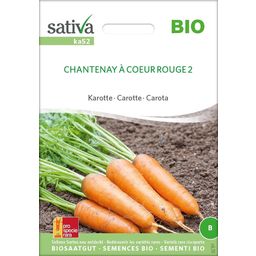 Sativa Bio Karotte "Chantenay à coeur rouge 2"