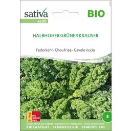Bio Federkohl/Grünkohl "Halbhoher grüner Krauser"