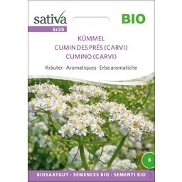 Sativa Bio Kräuter "Kümmel"