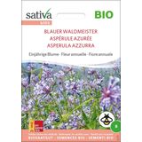 Bio Einjährige Blume "Blauer Waldmeister"