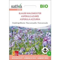 Bio Einjährige Blume "Blauer Waldmeister"