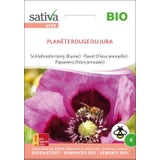 Bio Einjährige Blume Schlafmohn  "Planète Rouge Du Jura"