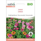Sativa Bio Einjährige Blume "Zinnie"