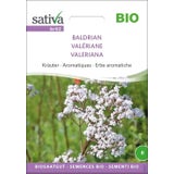 Sativa Bio Kr&auml;uter "Baldrian"