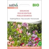 Sativa Bio Einjährige Blume "Edelwicke"