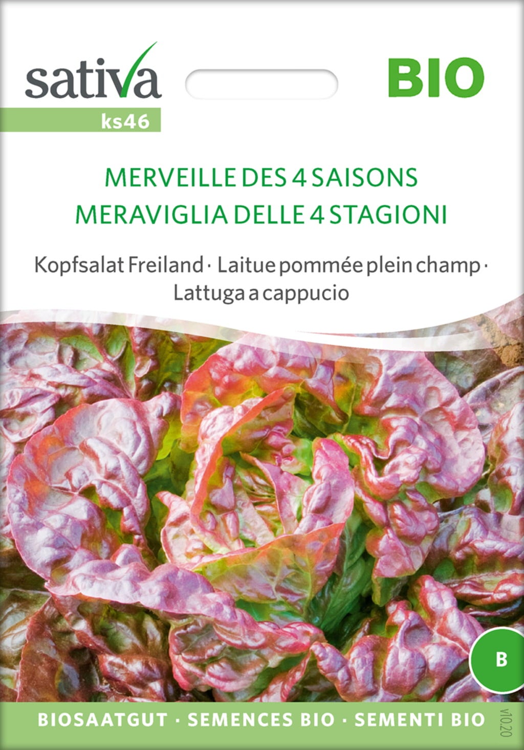 Bio Kopfsalat Freiland 