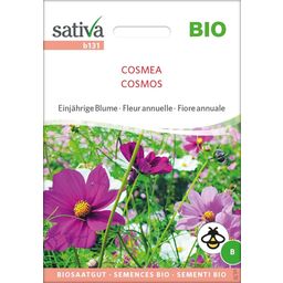 Sativa Bio Einjährige Blume "Cosmea"