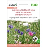 Bio Einjährige Blume "Kornblume - Farbmischung"