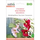 Sativa Bio Mehrjährige Blume 