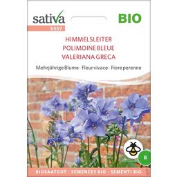 Sativa Bio Mehrjährige Blume 