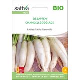 Sativa Bio Radies "Eiszapfen"