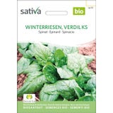 Sativa Bio Spinat, Winterriesen, Verdil Ks