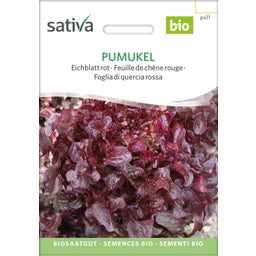 Sativa Bio Eichblatt rot, Pumukel