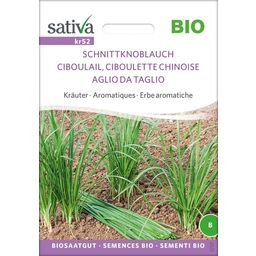 Sativa Bio Kräuter "Schnittknoblauch"