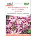 Bio Mehrjährige Blume 